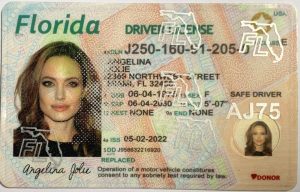 Florida Driver License - Florida Scannable IDS